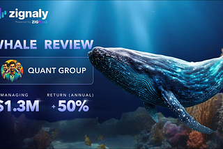 Zignaly Whale Review: This Portfolio Manager generated a +50% profit this year!