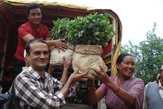 ‘Dharti’: 1200 saplings of Junar plantation at Bhattedadha