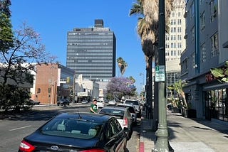 Parking In Los Angeles is a Nightmare. Can We Make It Better?