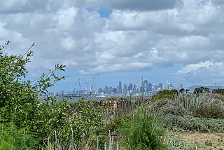 The San Francisco skyline in the distance, seen from across the San Francisco Bay