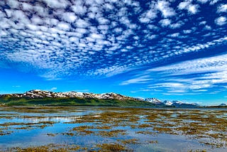 Above the Arctic Circle