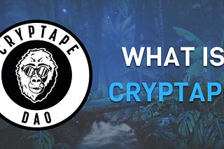 What is CryptApe Degen World ?