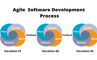 Agile Software Development: Team Structure
