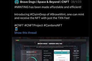 Brave Dogs are sharing their net revenue with their NFT holders — How will it work?