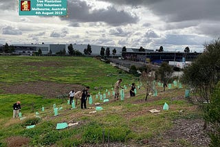 Mega Tree Plantation