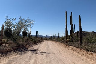 a gates pass saguaro