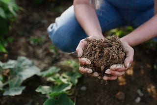 Is your food brand serving the planet?