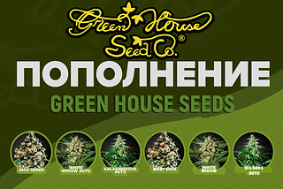 🔄 Свежие пополнение от Голландского сидбанка Green House Seeds в Pakaloco!