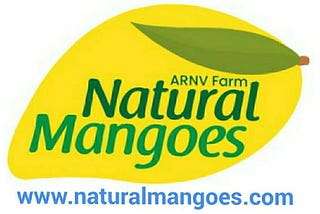 Organic Farm Fresh Mangoes from Natural Mangoes, ARNV Farm