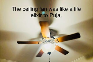 The Ceiling Fan