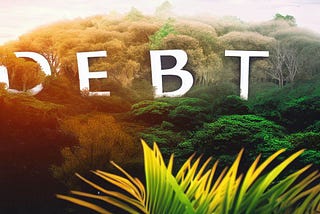 The Rising Popularity of Debt-For-Environment Swaps