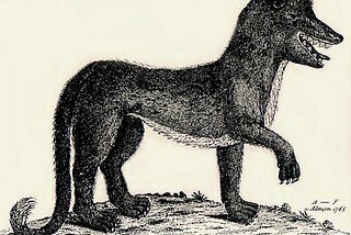 The Beast of Gévaudan — a mysterious creature that attacked hundreds of people