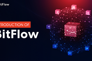 Introduction of BitFlow