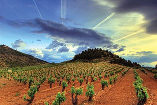 Rioja boom is a reality