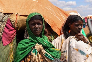 UN team warns of “real risk of famine” for drought-affected Somalia