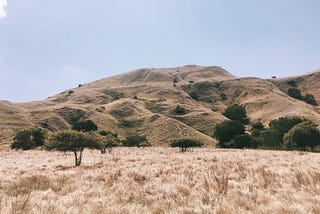 View of an open African savanna.