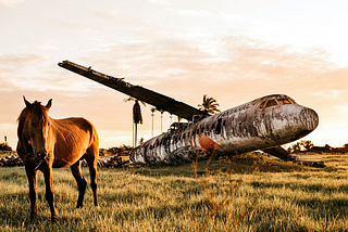 EL CABALLO DE TROYA