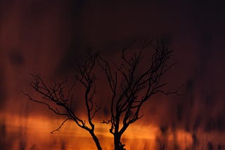 What the Australian bushfires taught me about barriers to donating