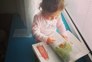 little girl reading a book