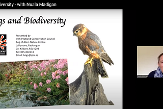 Irish Bogs and Biodiversity Seminar with Nuala Madigan
