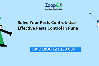 Solve Your Pests Control: Use Effective Pests Control in Pune