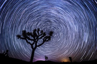 Rabbit Moons, Violet Dawns and the Call of the Desert