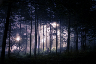 Image of dim light seen through trees, used to illustrate post
