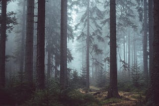 Demystifying Server-Side Rendering in React