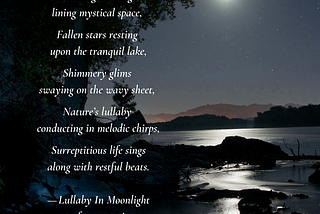 Poetry: Lullaby In Moonlight
