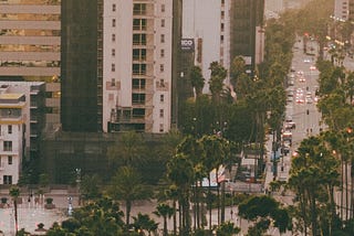 California city street lined with palm trees, taken from a high angle