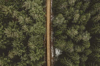 Web3 Social Misconceptions: The Difference Between Social Interaction and Community, and the…