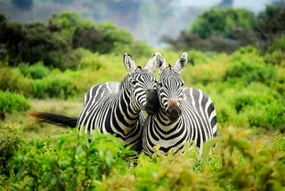 Serengeti National Park