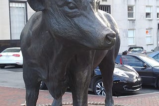 Call to Unite the Hoods in Durham NC