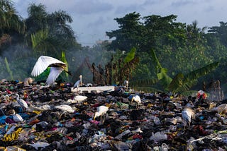 Playing Our Part to Beat Plastic Pollution