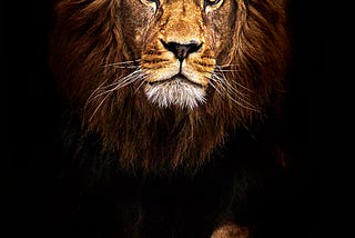 https://www.4kmobilewallpaper.com/