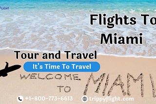 Traveling Solo? Guide to Safe and Affordable Flights to Miami