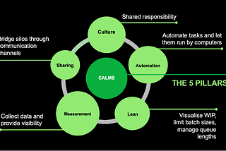 El modelo CALMS