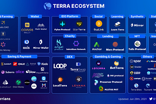 How Terra Changed My Life