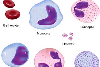 The human blood: