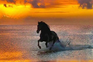 Nora the fairy of war and healing