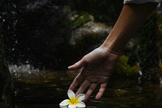 Masculine Energy Update: Escaping, Silencing, Suppressing: Masculine Energy Confronting Its Heart