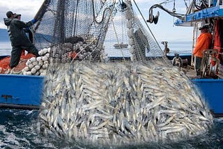 Above the Line Marketing: Fishing with a Big Net.