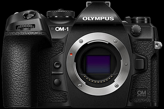 Olympus OM-1 Problems & Workarounds
