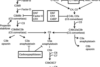 IMMUNOLOGY: The complement system