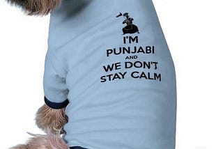 Punjabi By Nature