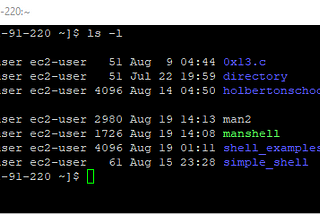 How Does ls command with option -l work in Shell?