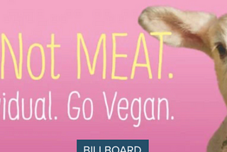 PETA Advertising Strategy