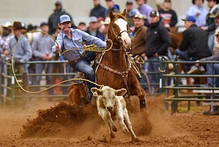 Roping as a part of equestrian sport