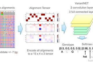 Simple Convolutional Neural Network for Genomic Variant Calling with TensorFlow