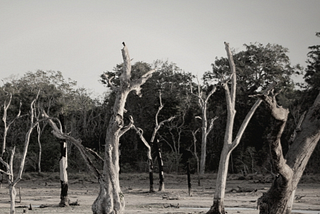 Will climate financial stability risk assessment produce headwinds for climate finance in emerging…